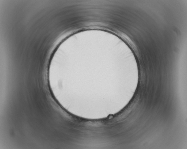 X0000112891384200910021405