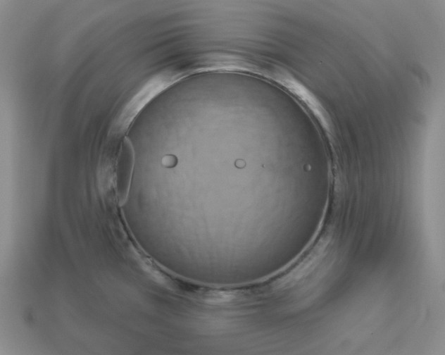 X0000112891385200910021405