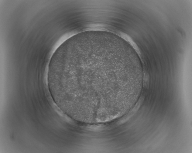 X0000112891386200910021405
