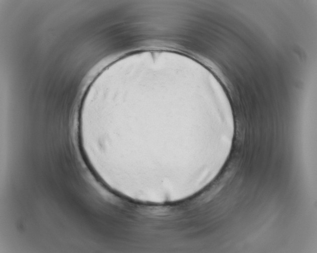 X0000112891387200910021405
