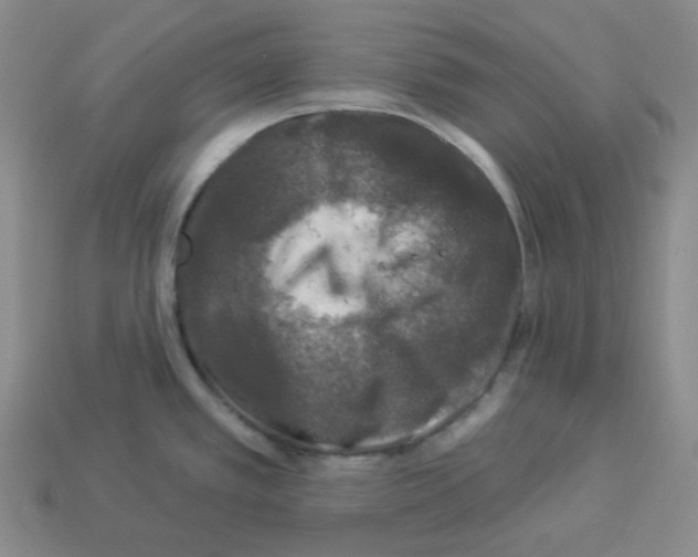X0000112891389200910021405