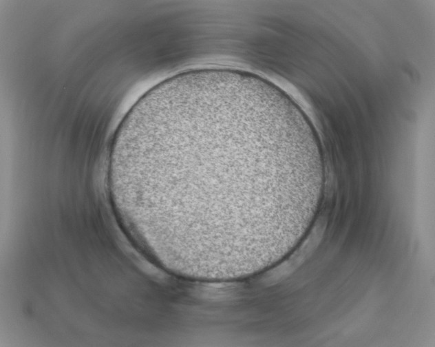 X0000112891390200910021404