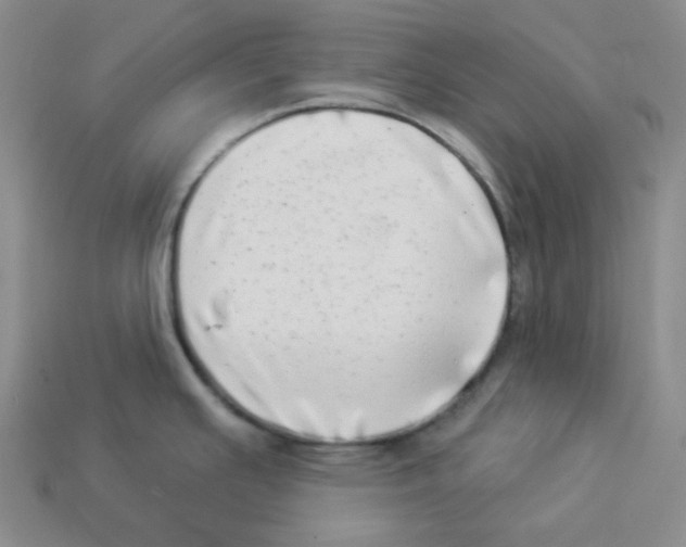 X0000112891391200910021404