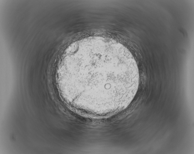 X0000112891393200910021404