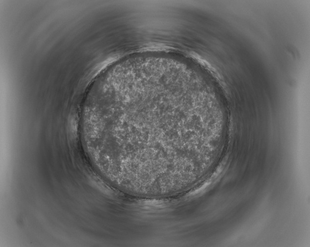 X0000112891401200910021404