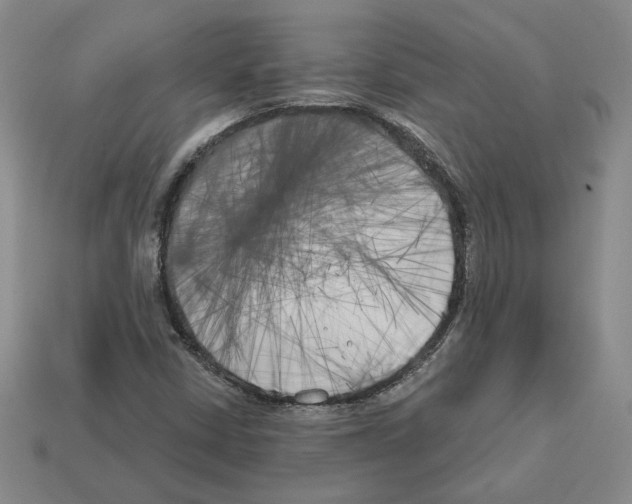 X0000112891402200910021404