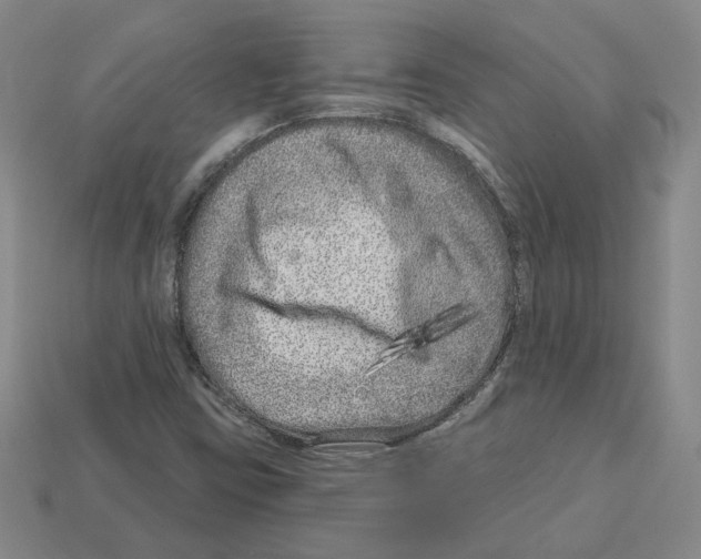 X0000112891403200910021404