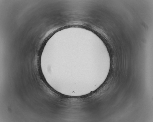 X0000112891404200910021404