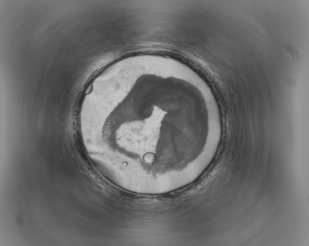 X0000112891405200910021404