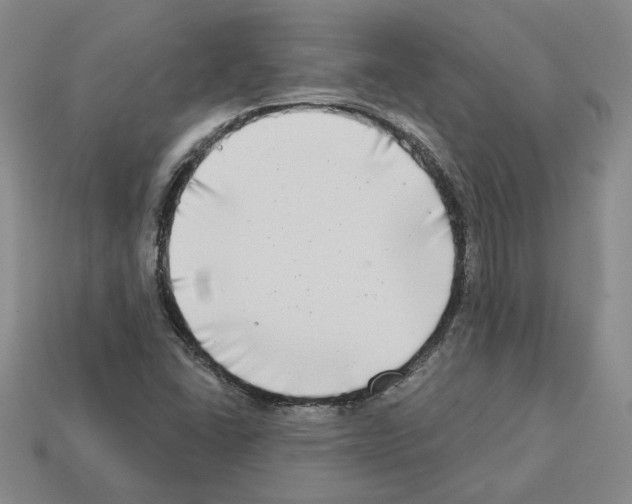 X0000112891406200910021404