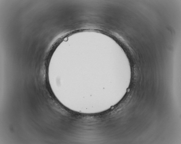 X0000112891408200910021404