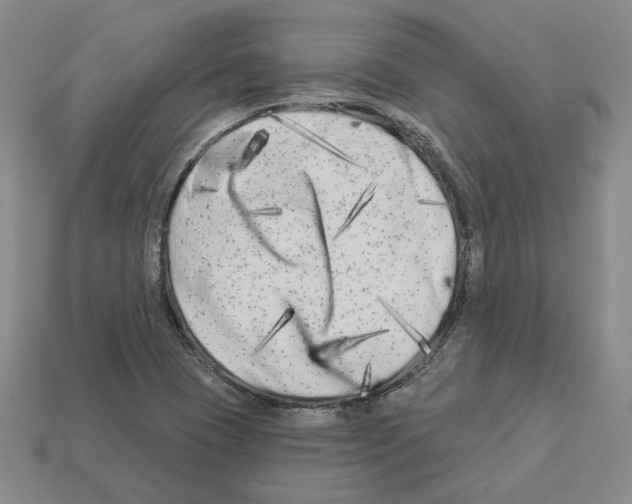 X0000112891409200910021404