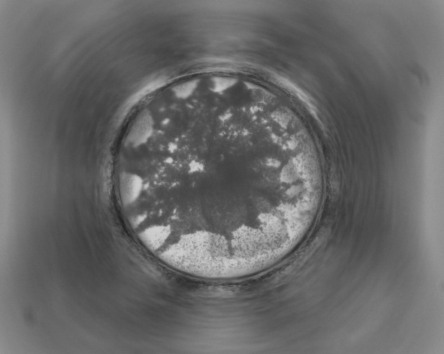 X0000112891411200910021404