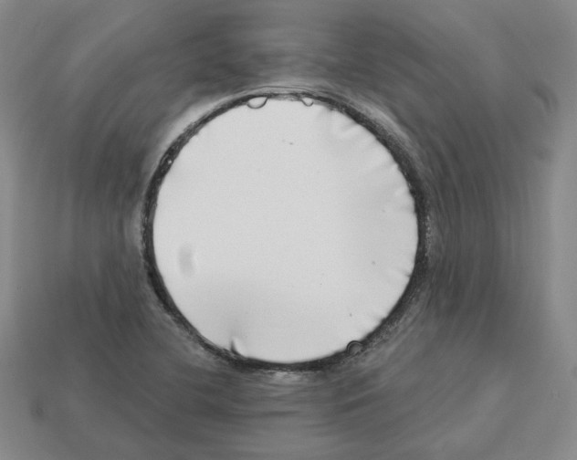 X0000112891412200910021404