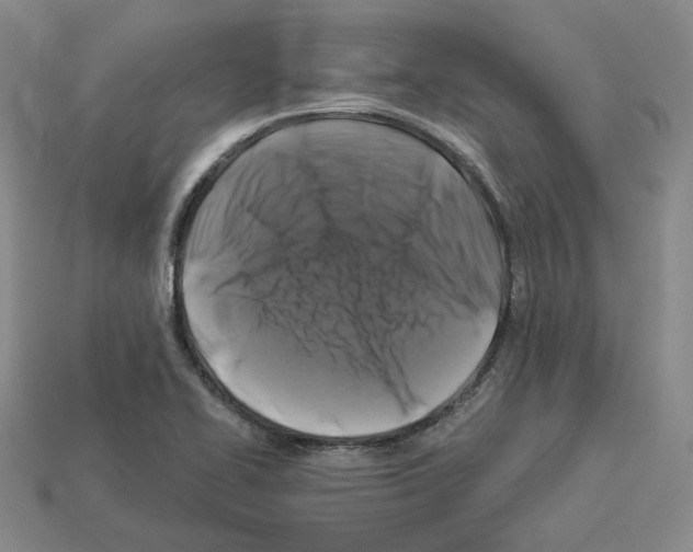 X0000112891414200910021404