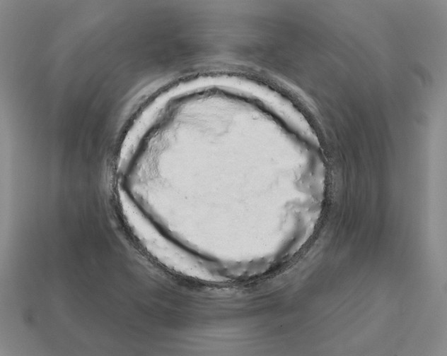 X0000112891415200910021404