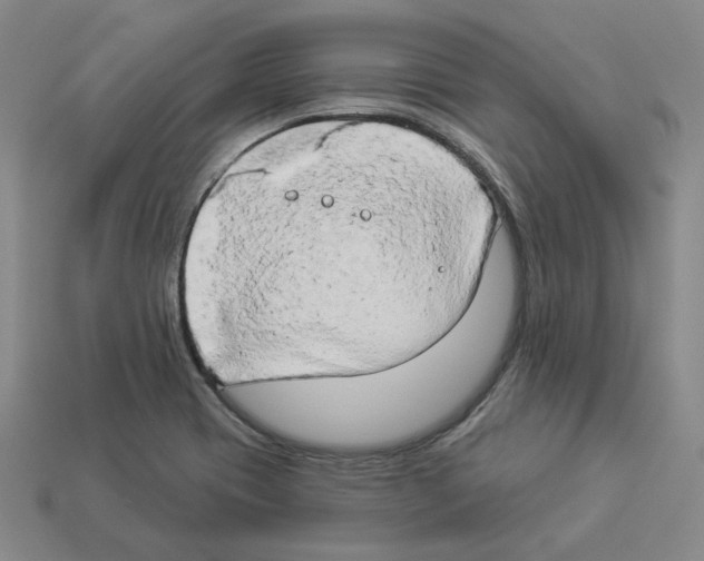 X0000112891417200910021404