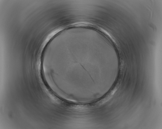 X0000112891418200910021404
