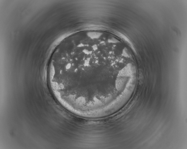 X0000112891419200910021404