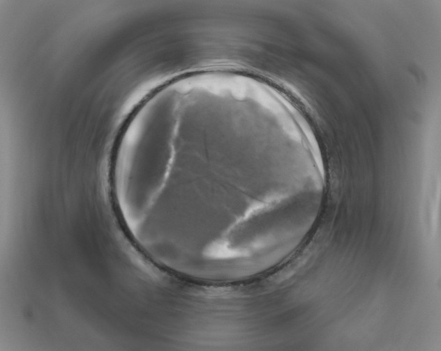 X0000112891422200910021404