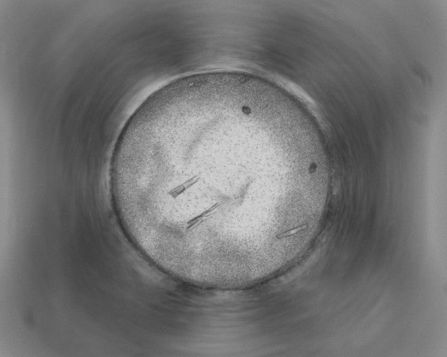 X0000112891423200910021404