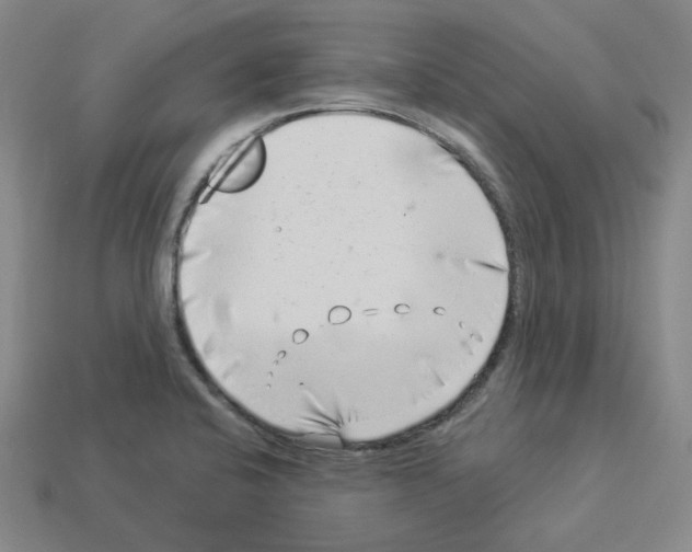 X0000112891424200910021404