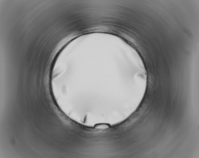 X0000112891426200910021404