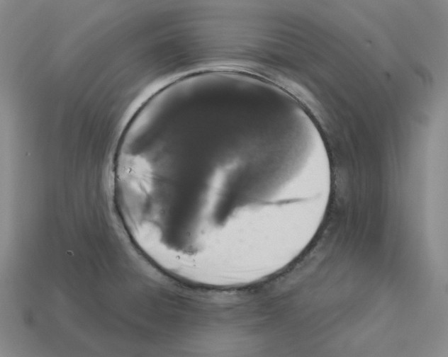 X0000112891428200910021404