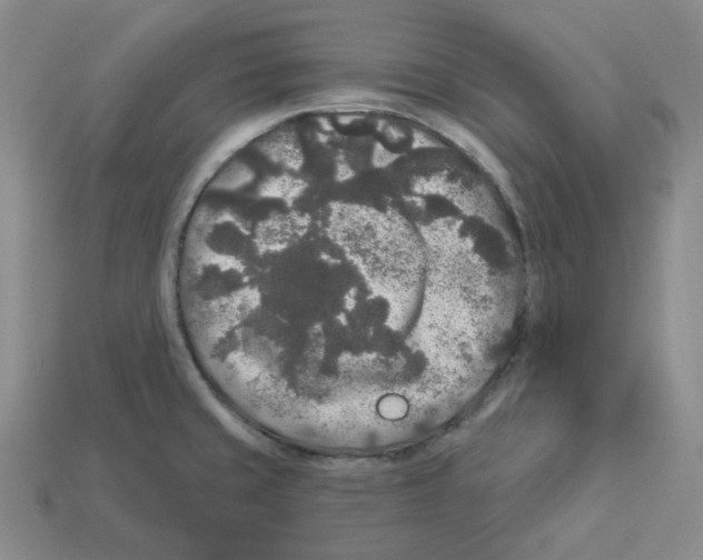 X0000112891429200910021404
