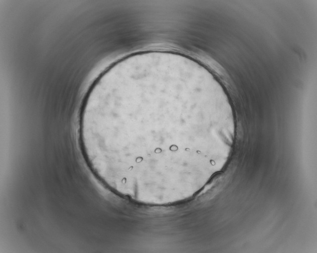 X0000112891430200910021404