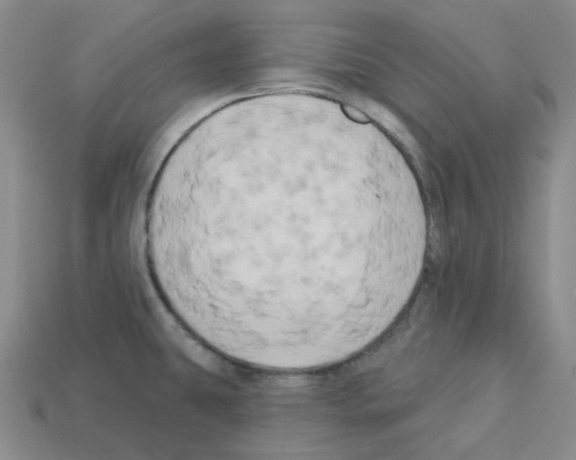 X0000112891431200910021404