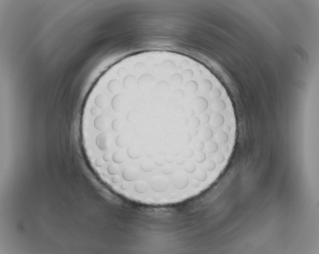 X0000112891432200910021404