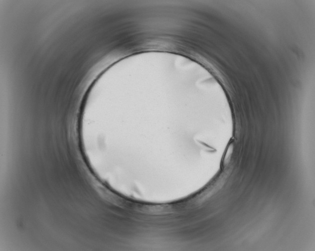 X0000112891434200910021404