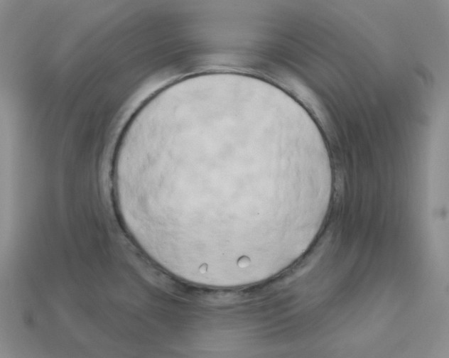 X0000112891435200910021404