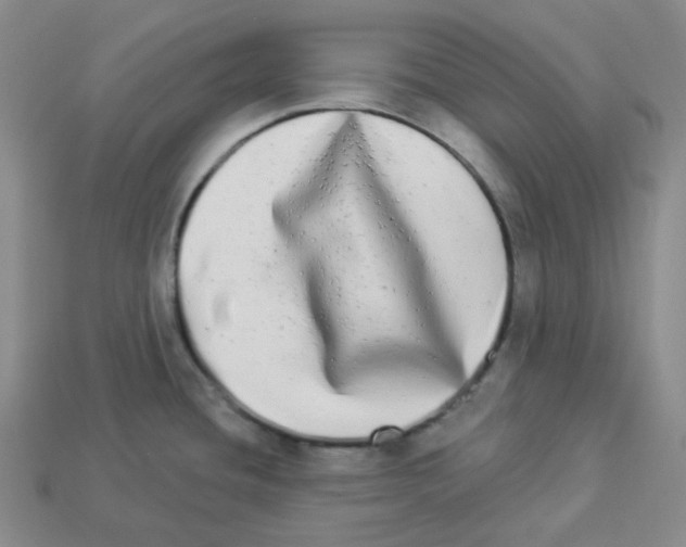 X0000112891436200910021404