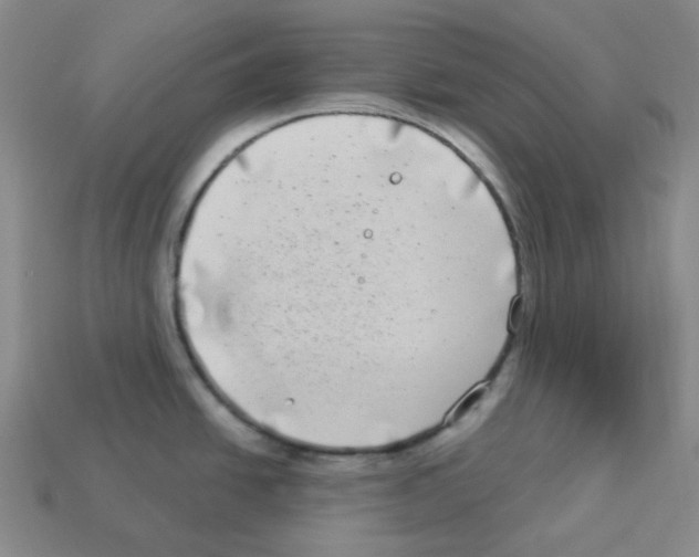 X0000112891438200910021404