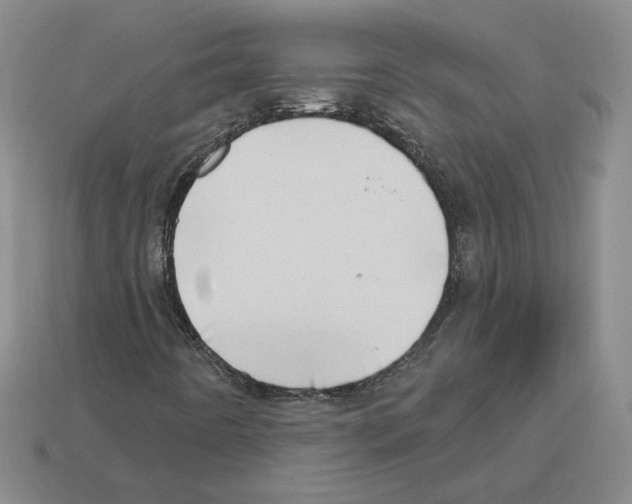 X0000112891442200910021404