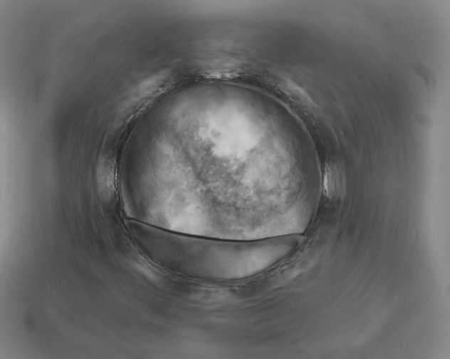 X0000112891444200910021404