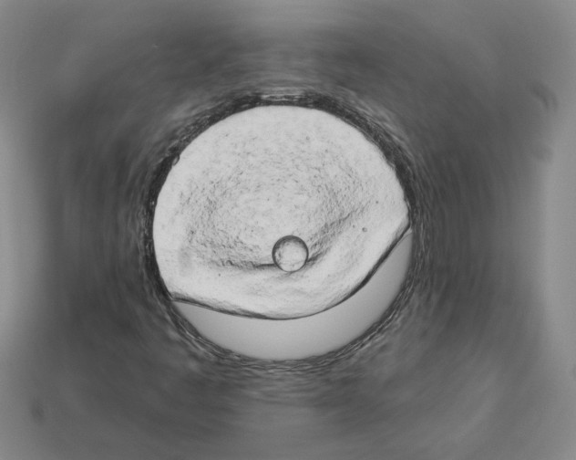 X0000112891445200910021404