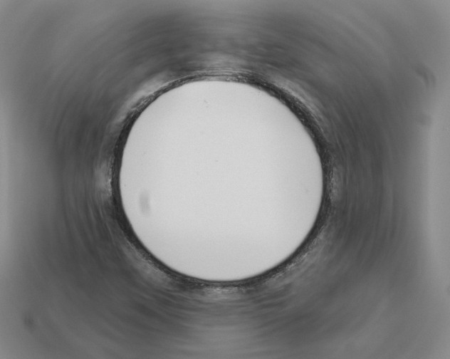 X0000112891451200910021404