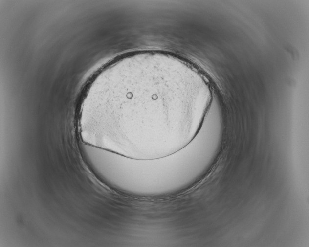 X0000112891452200910021404