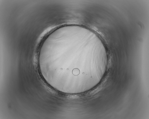 X0000112891454200910021404