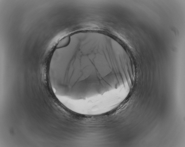 X0000112891455200910021404