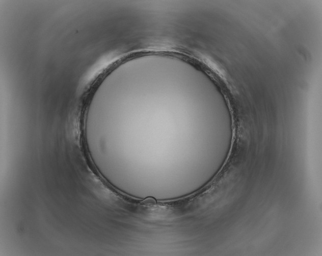 X0000112891456200910021404