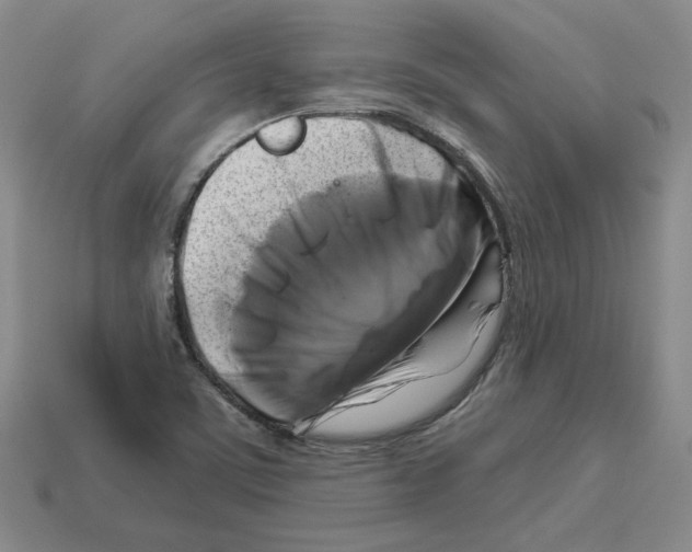 X0000112891459200910021404