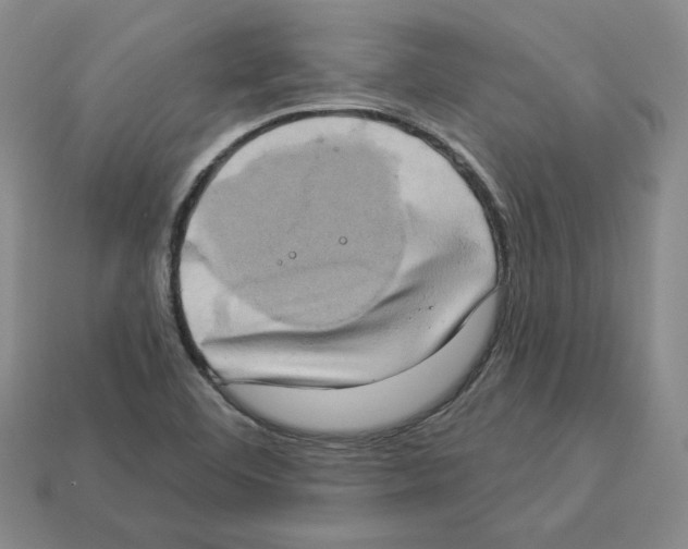 X0000112891460200910021403