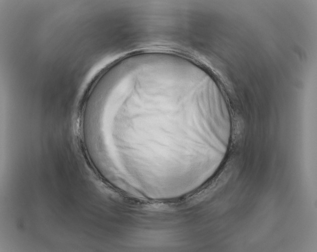 X0000112891462200910021403