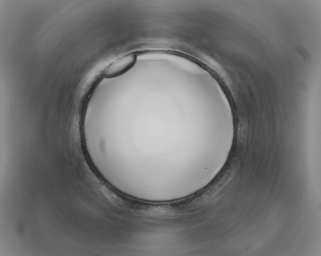 X0000112891464200910021403