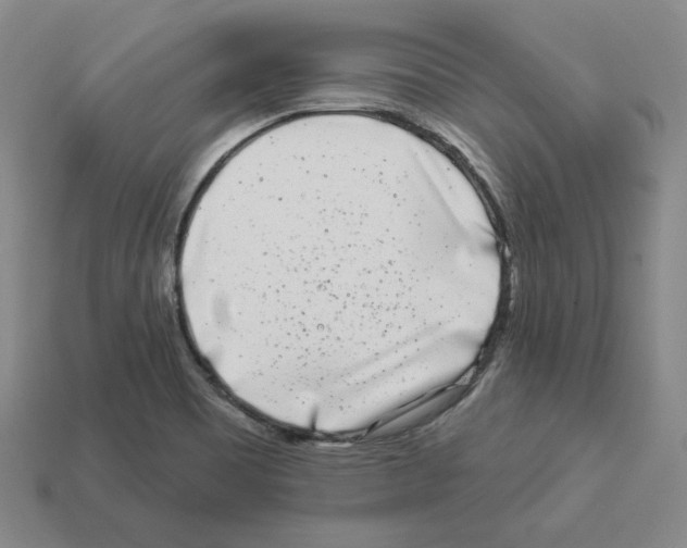 X0000112891465200910021403