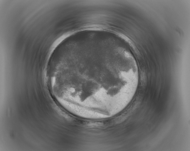 X0000112891466200910021403